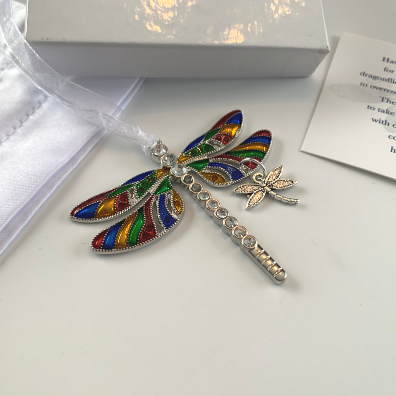 Rainbow Dragonfly and Baby Pendant